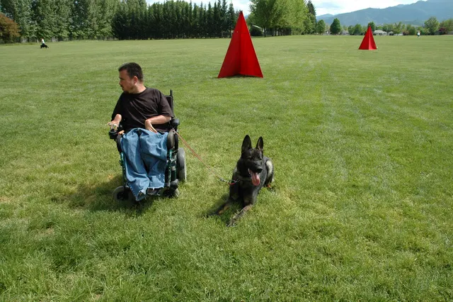 RVSC Club Training — May 14, 2006 — obedience, recalls, field control and Schutzhund blind exercises — photo 015
