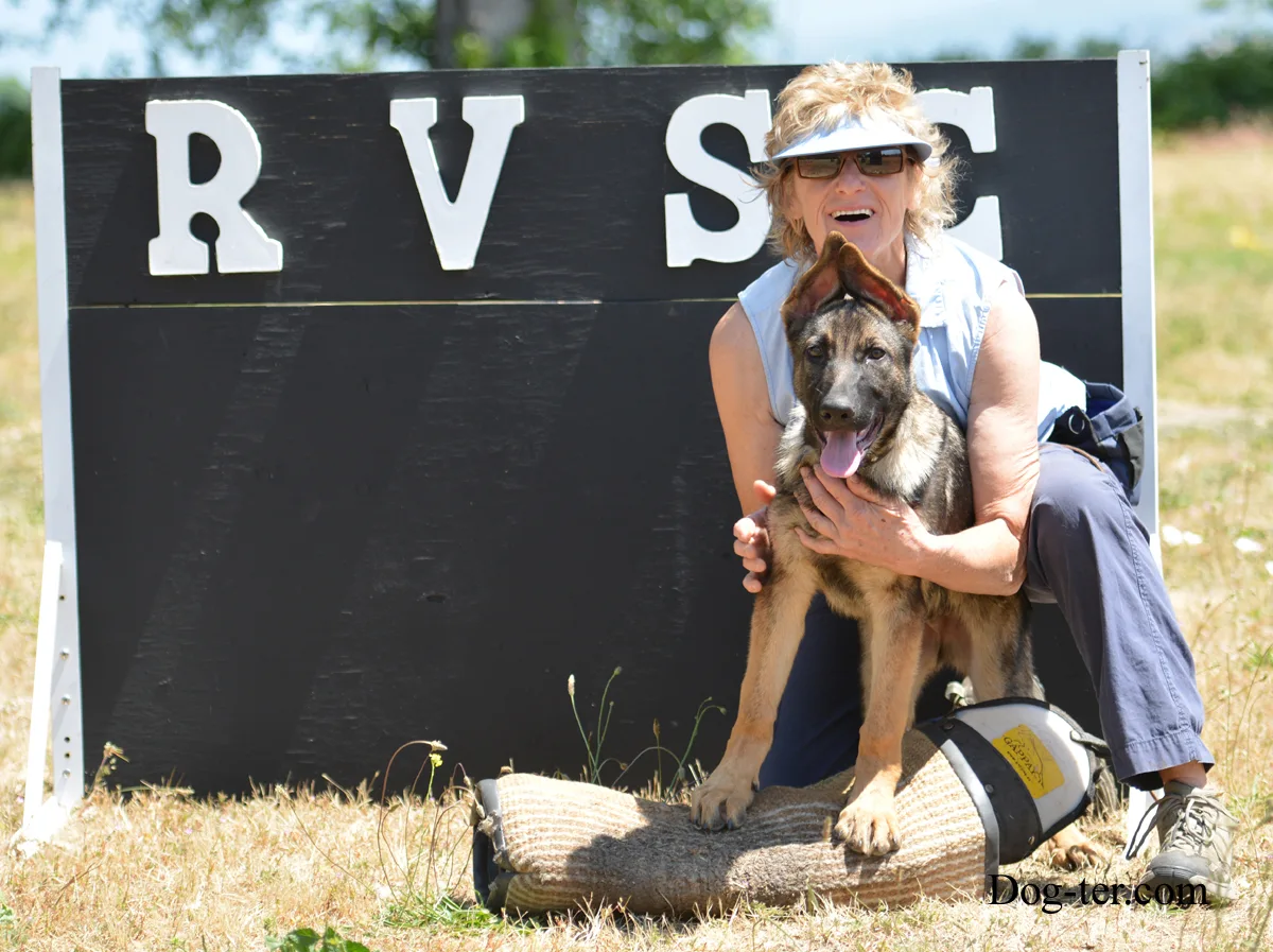 May 31, 2014 RVSC Club Training — a working dog moving through an open-field exercise