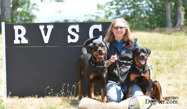 May 31, 2014 RVSC Club Training — a handler practicing obedience with a working dog — photo 02