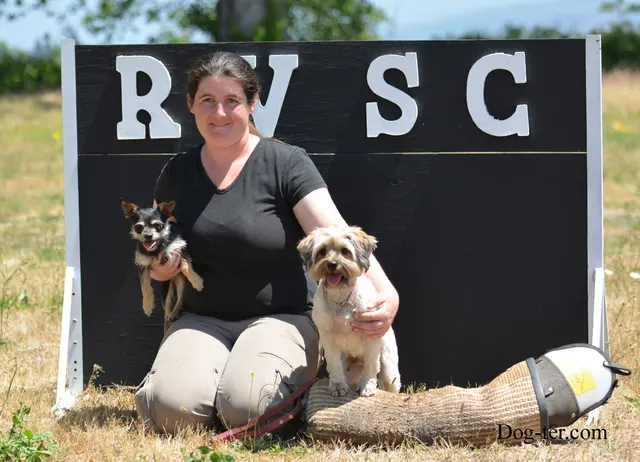 May 31, 2014 RVSC Club Training — a working dog photographed during the club training day — photo 04
