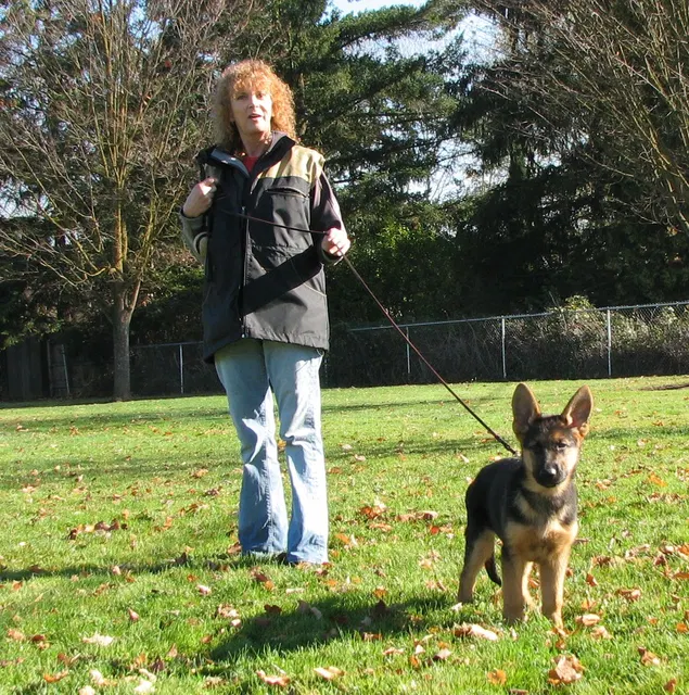 RVSC Club Training — November 14–15, 2008 — young dogs, obedience, blind work and handler engagement — photo 007