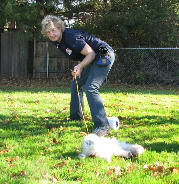 RVSC Club Training — November 14–15, 2008 — young dogs, obedience, blind work and handler engagement — photo 011