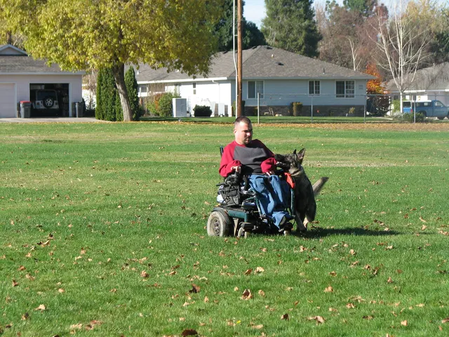 RVSC Club Training — November 14–15, 2008 — young dogs, obedience, blind work and handler engagement — photo 014