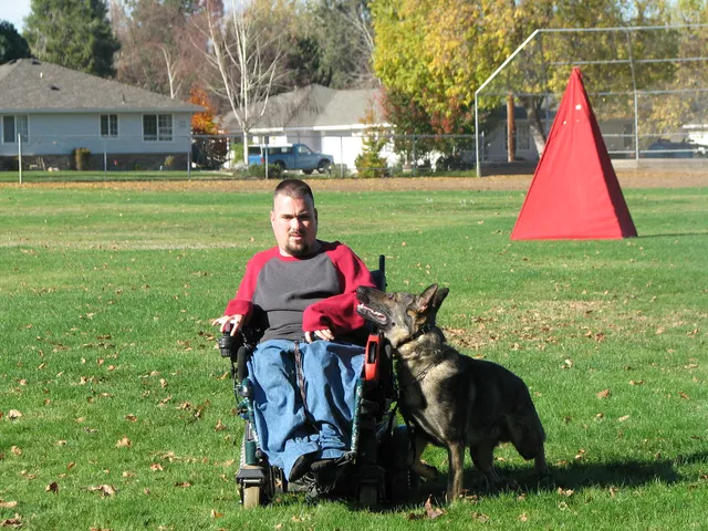 RVSC Club Training — November 14–15, 2008 — young dogs, obedience, blind work and handler engagement — photo 015
