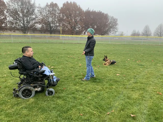 November 28, 2020 Club Training — a working dog holding position while club members observe on the field — photo 04
