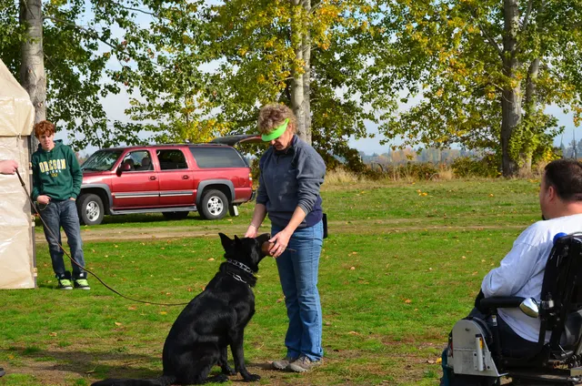 November 3, 2012 RVSC Club Training on November 3, 2012 — a working dog beginning a controlled protection and engagement exercise — photo 10