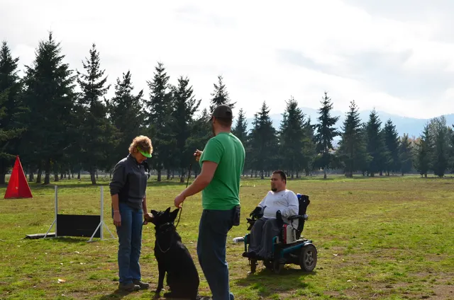 November 3, 2012 RVSC Club Training on November 3, 2012 — a working dog maintaining attention on the handler during field training — photo 09