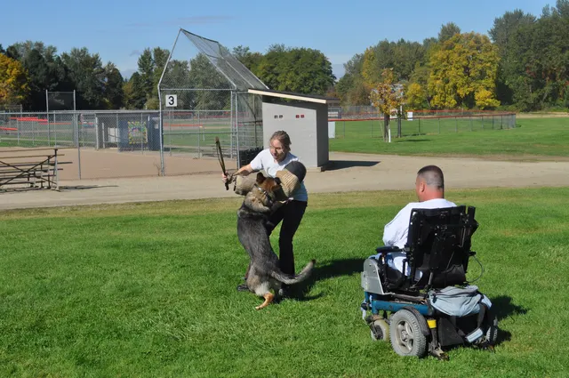 October 16, 2009 Club Training on October 16, 2009 — a German Shepherd and handler working near other club members — photo 21