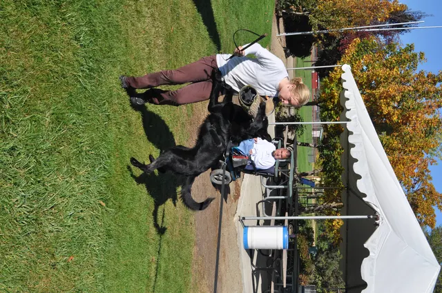October 16, 2009 Club Training on October 16, 2009 — a working dog and handler training together near the club field setup — photo 12