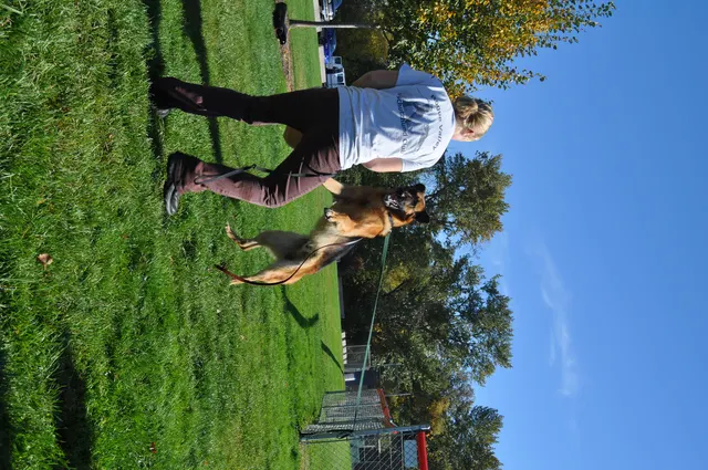 October 16, 2009 Club Training on October 16, 2009 — a dog jumping toward the handler during motivated club training — photo 16