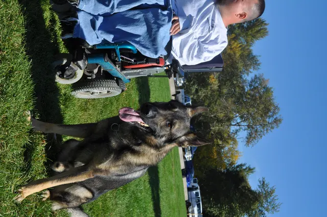October 16, 2009 Club Training on October 16, 2009 — a German Shepherd sitting attentively beside the handler — photo 20
