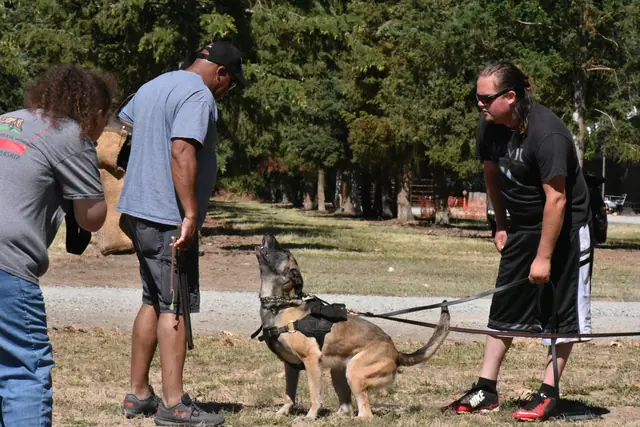 RVSC Helper Certification on July 1, 2018 — helper-certification practice with a sleeve presentation and controlled dog setup — photo 03