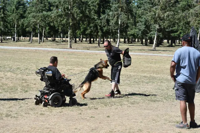 RVSC Helper Certification on July 1, 2018 — a working dog maintaining a protection grip with handler support nearby — photo 07