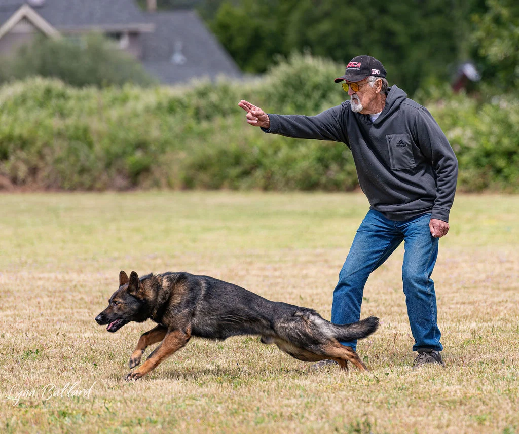 RVSC IGP & RH Trial — May 16–17, 2026 historical working-dog archive
