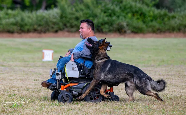 RVSC IGP & RH Trial — May 16–17, 2026 — wheelchair handler and working dog moving together in obedience — photo 02
