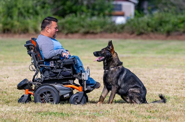 RVSC IGP & RH Trial — May 16–17, 2026 — wheelchair handler and working dog holding an obedience position — photo 04