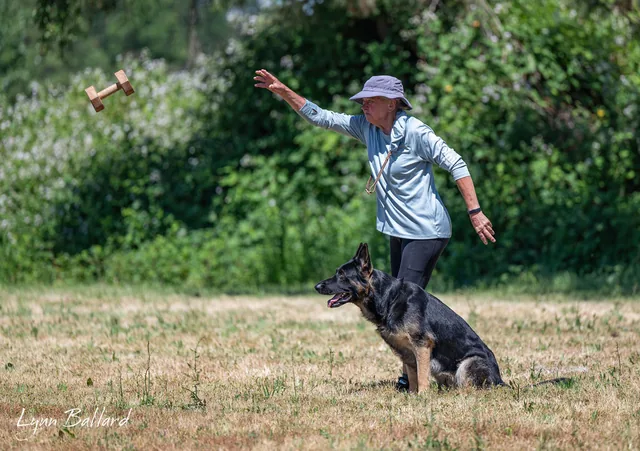 2025 RVSC IGP Trial — obedience retrieve exercise with a dumbbell on the trial field — photo 05