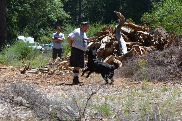 2013 RVSC Iron Dog Compilation — a handler and dog working together in the outdoor event area