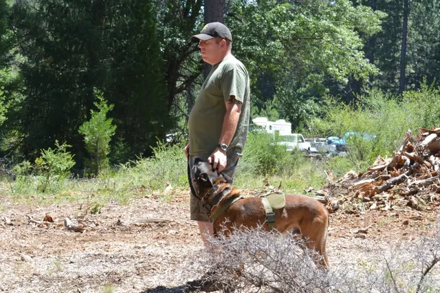 2013 RVSC Iron Dog Compilation — a handler and working dog participating in an outdoor Iron Dog activity — photo 09