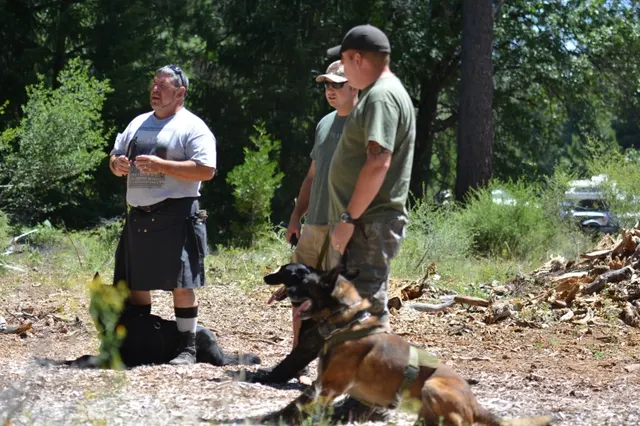 2013 RVSC Iron Dog Compilation — a working dog moving through an outdoor exercise — photo 06