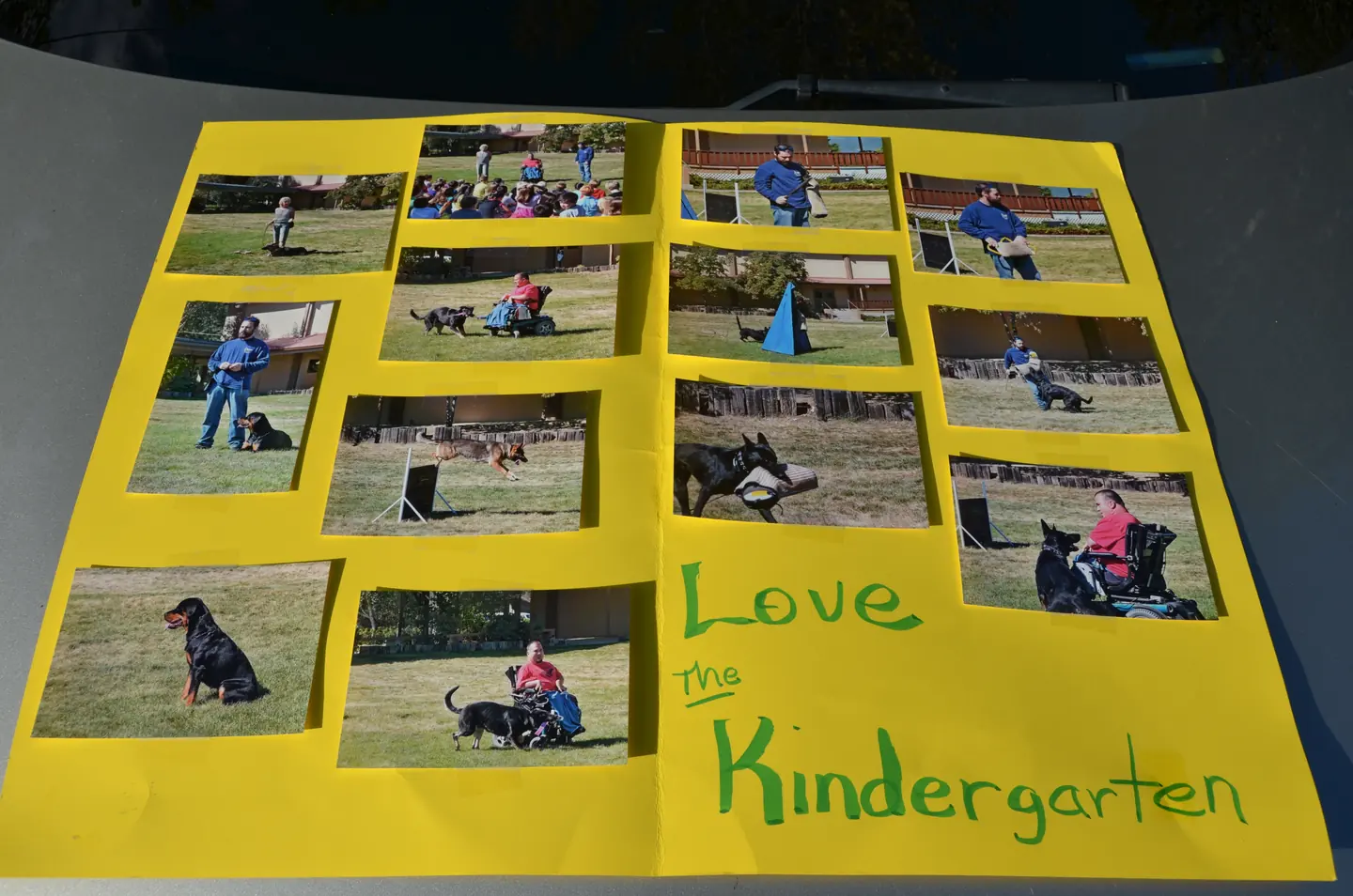 Kindergarten thank-you poster created after the 2012 Rogue Valley Schutzhund Club school demonstration — photo 01