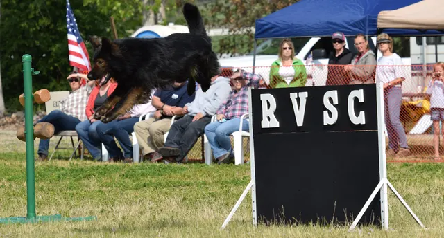 April 20, 2015 RVSC Schutzhund Trial on April 20, 2015 — a working dog and handler during a formal trial exercise — photo 156