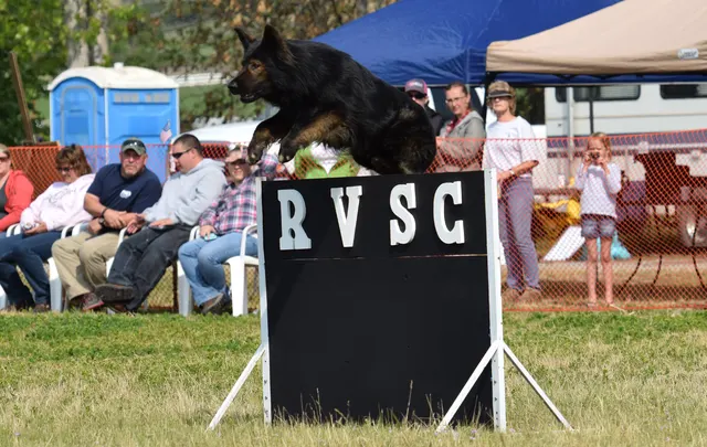 April 20, 2015 RVSC Schutzhund Trial on April 20, 2015 — a dog completing a Schutzhund jump or field exercise — photo 157