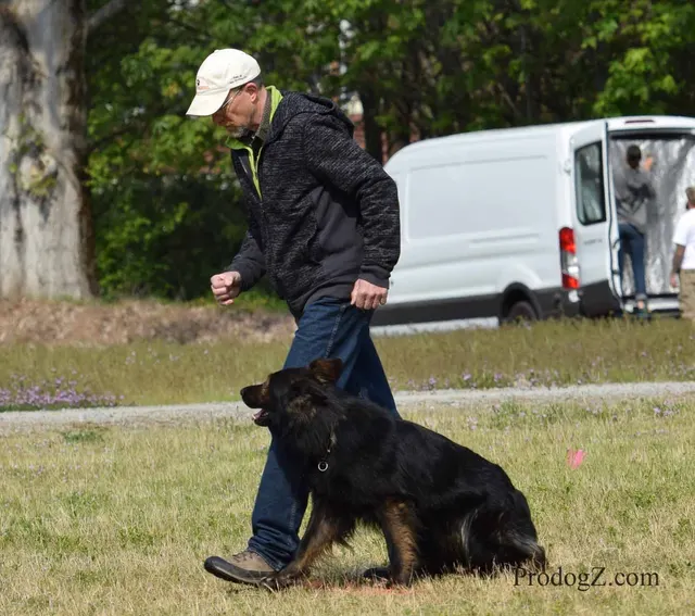 April 20, 2015 RVSC Schutzhund Trial on April 20, 2015 — handler control and obedience work on the trial field — photo 163