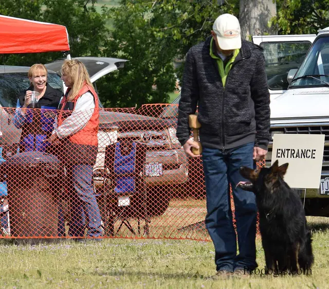April 20, 2015 RVSC Schutzhund Trial on April 20, 2015 — a dog completing a Schutzhund jump or field exercise — photo 172