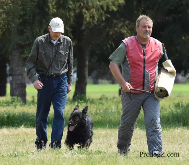 April 20, 2015 RVSC Schutzhund Trial on April 20, 2015 — handler control and obedience work on the trial field — photo 183