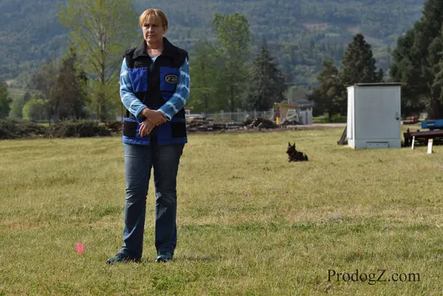 April 20, 2015 RVSC Schutzhund Trial on April 20, 2015 — handler control and attention on the trial field — photo 193