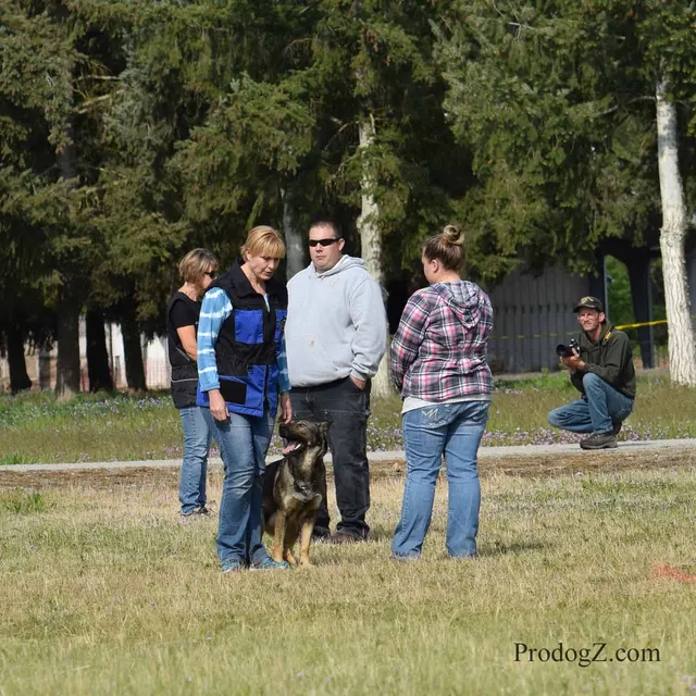 April 20, 2015 RVSC Schutzhund Trial on April 20, 2015 — a working dog and handler during a formal obedience exercise — photo 196