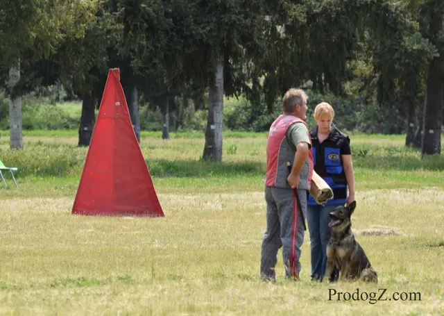 April 20, 2015 RVSC Schutzhund Trial on April 20, 2015 — a dog-and-handler team completing a scored trial routine — photo 215