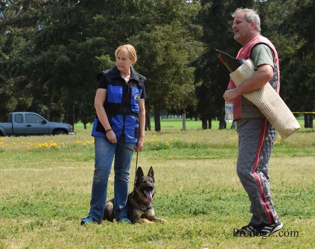 April 20, 2015 RVSC Schutzhund Trial on April 20, 2015 — a working dog and handler during a formal obedience exercise — photo 216