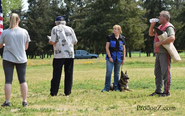 April 20, 2015 RVSC Schutzhund Trial on April 20, 2015 — a German Shepherd completing a Schutzhund jump or field exercise — photo 217