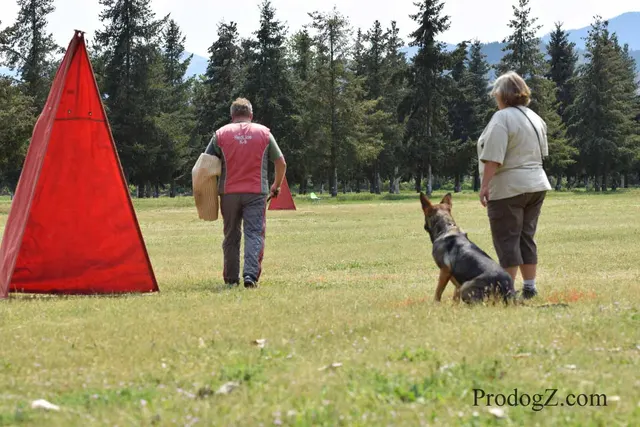 April 20, 2015 RVSC Schutzhund Trial on April 20, 2015 — a dog-and-handler team completing a scored trial routine — photo 220