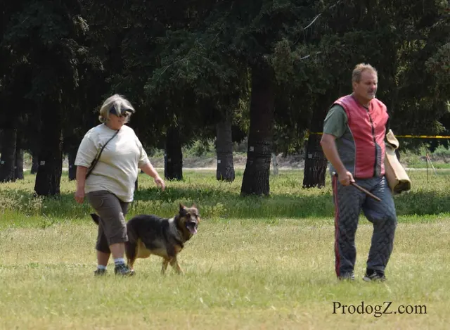 April 20, 2015 RVSC Schutzhund Trial on April 20, 2015 — handler control and attention on the trial field — photo 223