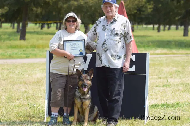April 20, 2015 RVSC Schutzhund Trial on April 20, 2015 — a dog-and-handler team completing a scored trial routine — photo 225
