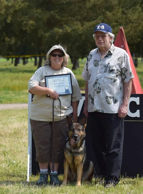 April 20, 2015 RVSC Schutzhund Trial on April 20, 2015 — a working dog and handler during a formal obedience exercise — photo 226