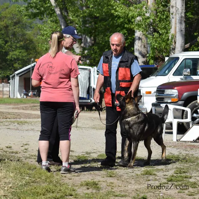 April 20, 2015 RVSC Schutzhund Trial on April 20, 2015 — a German Shepherd completing a Schutzhund jump or field exercise — photo 232