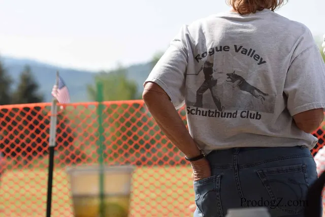 April 20, 2015 RVSC Schutzhund Trial on April 20, 2015 — a working dog and handler during a formal trial routine — photo 025