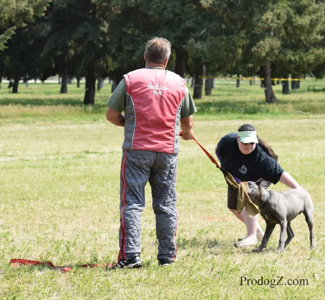 April 20, 2015 RVSC Schutzhund Trial on April 20, 2015 — the RVSC trial grounds, field equipment and club setup — photo 031