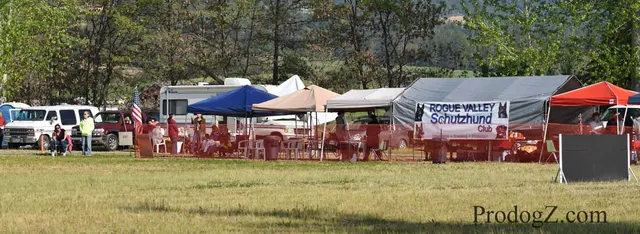 April 20, 2015 RVSC Schutzhund Trial on April 20, 2015 — club members, officials and spectators during the trial — photo 037