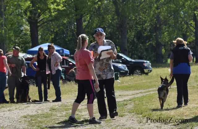 April 20, 2015 RVSC Schutzhund Trial on April 20, 2015 — a working dog and handler during a formal trial routine — photo 045