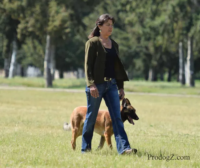April 20, 2015 RVSC Schutzhund Trial on April 20, 2015 — trial officials and handlers gathered between working routines — photo 004