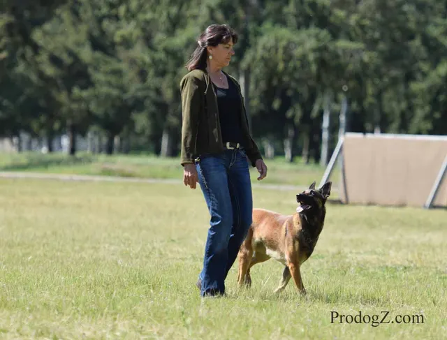 April 20, 2015 RVSC Schutzhund Trial on April 20, 2015 — a handler moving with a working dog during an obedience exercise — photo 007