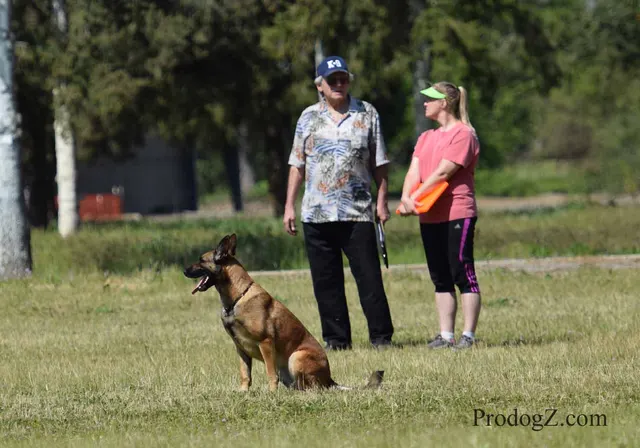 April 20, 2015 RVSC Schutzhund Trial on April 20, 2015 — trial officials and handlers gathered between working routines — photo 008