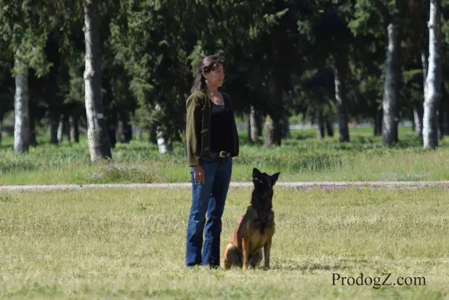 April 20, 2015 RVSC Schutzhund Trial on April 20, 2015 — trial officials and handlers gathered between working routines — photo 012