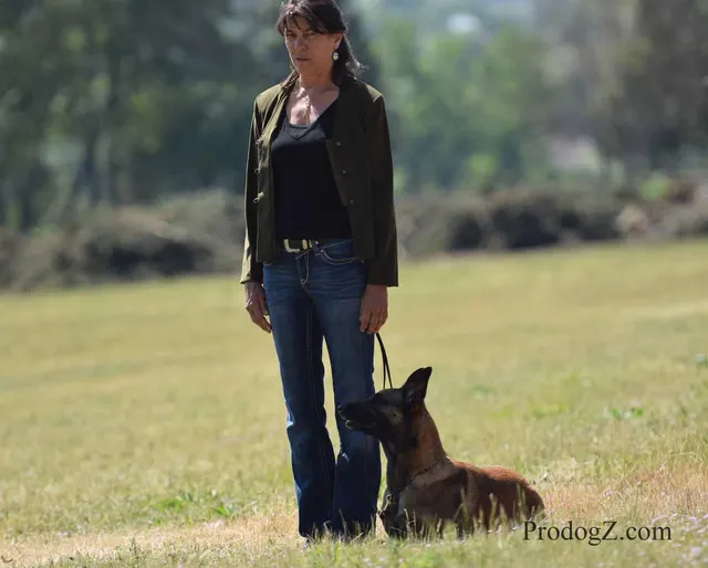 April 20, 2015 RVSC Schutzhund Trial on April 20, 2015 — a handler moving with a working dog during an obedience exercise — photo 015