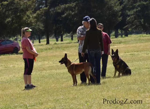 April 20, 2015 RVSC Schutzhund Trial on April 20, 2015 — trial officials and handlers gathered between working routines — photo 016
